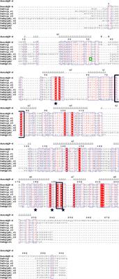 Identification, Expression Patterns and RNA Interference of Aquaporins in Dendroctonus armandi (Coleoptera: Scolytinae) Larvae During Overwintering